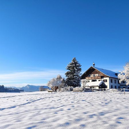 Bauernhofferien Oberduernberg Villa Seekirchen am Wallersee Eksteriør billede