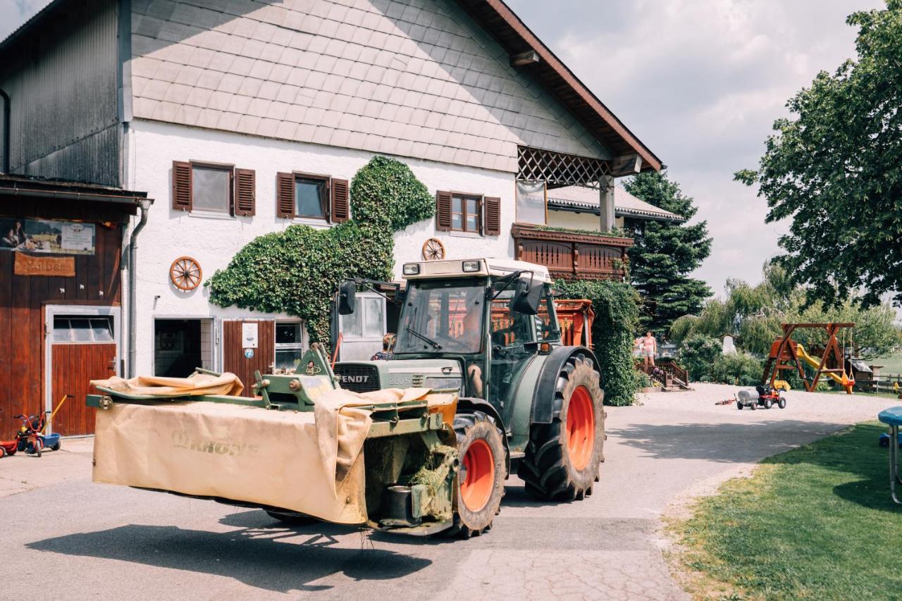 Bauernhofferien Oberduernberg Villa Seekirchen am Wallersee Eksteriør billede