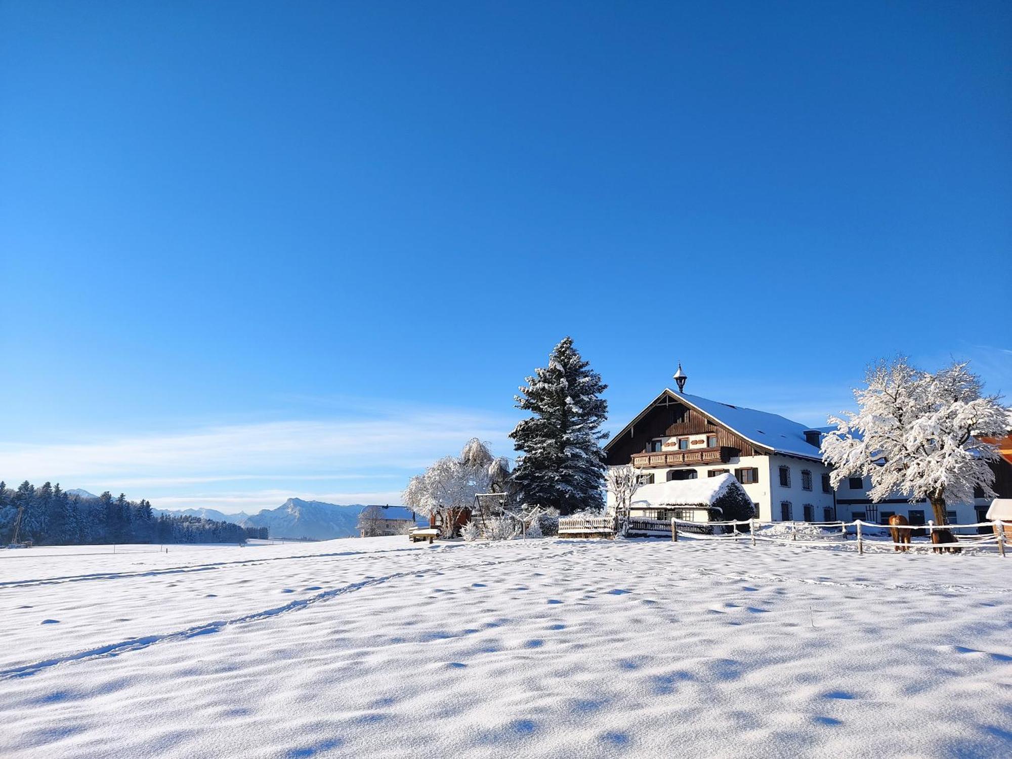 Bauernhofferien Oberduernberg Villa Seekirchen am Wallersee Eksteriør billede