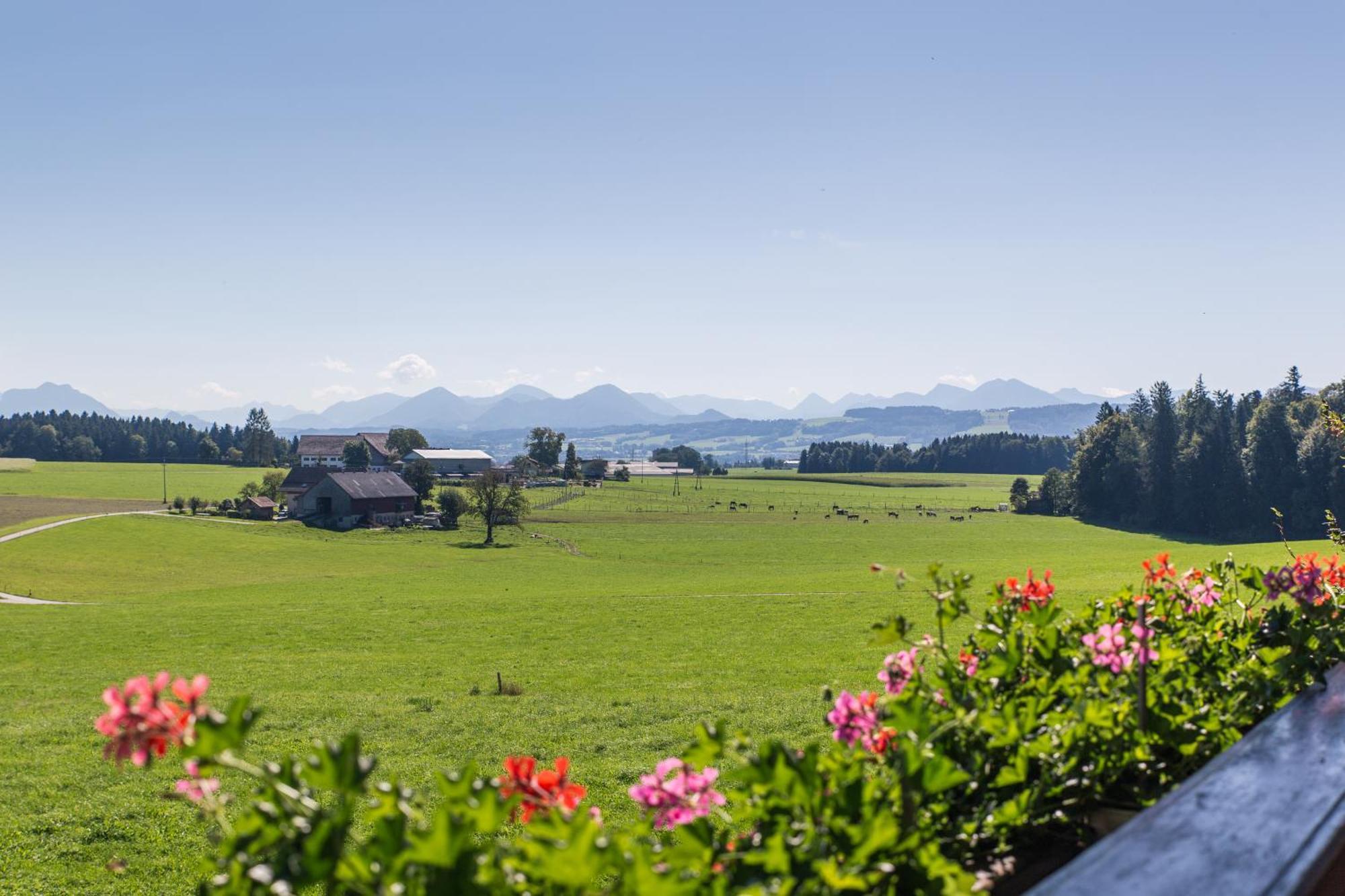 Bauernhofferien Oberduernberg Villa Seekirchen am Wallersee Værelse billede